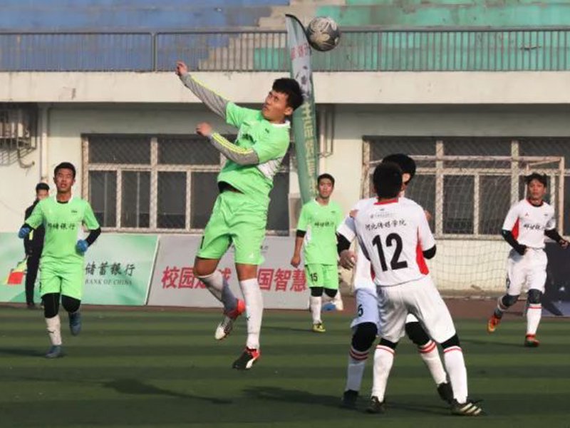 乐玩lewin概况